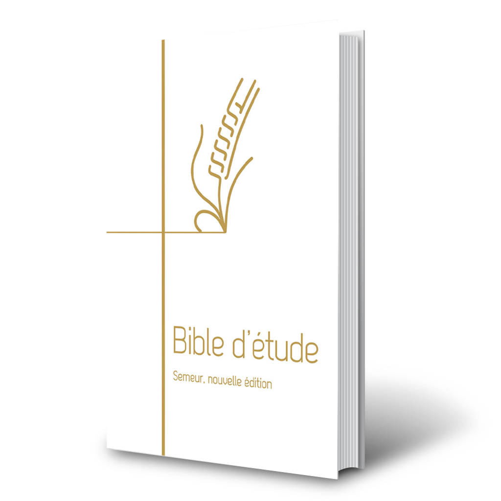 Bible d’étude rigide blanche-tranche dorée 3D