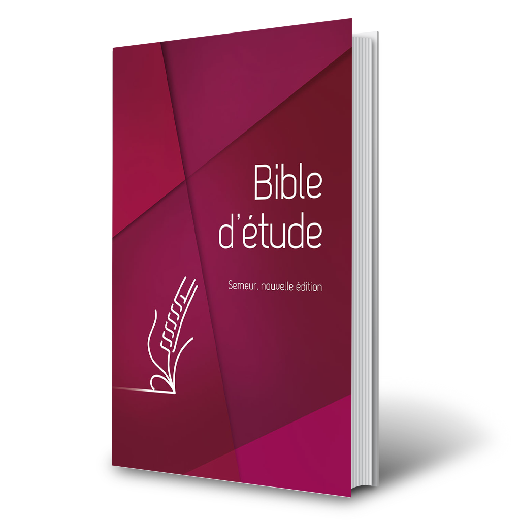 Bible d’étude rigide rouge-tranche blanche 3D