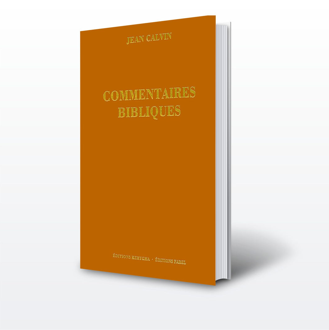 Comm. Bibliques. Épîtres aux Romains